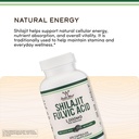 shilajit-pure-himalayan-capsules-20-fulv-4.jpg