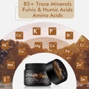 hima-shilajatu-shilajit-purest-himalayan-4.jpg