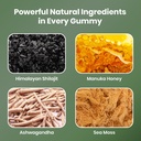 cured-3-in-1-pure-himalayan-shilajit-gum-2.jpg