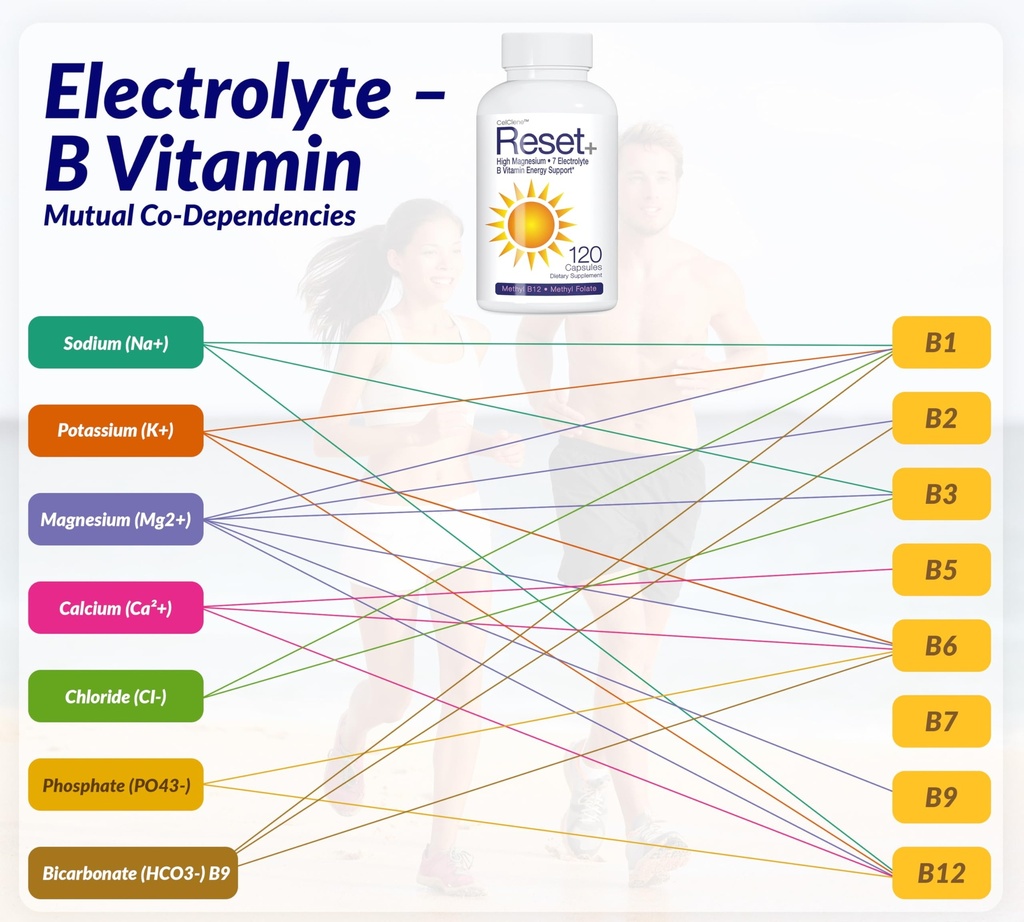 reset-7-energy-electrolytes-high-methyl--6.jpg