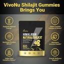 pure-himalayan-shilajit-gummies-micronut-2.jpg