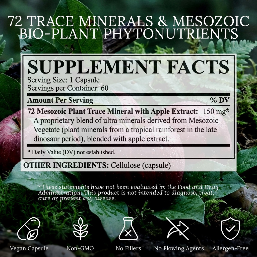 vitality-extract-energy-supplement-60-ca-4.jpg