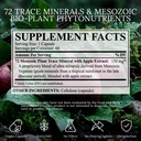 vitality-extract-energy-supplement-60-ca-4.jpg