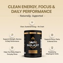 shilajit-gummies-with-ashwagandha-fulvic-2.jpg
