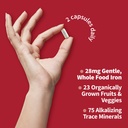 garden-of-life-vitamin-code-healthy-bloo-3.jpg