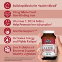 garden-of-life-vitamin-code-healthy-bloo-2.jpg