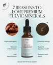 goodness-lover-fulvic-minerals-100-trace-4.jpg