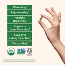 organic-india-liver-kidney-herbal-supple-3.jpg