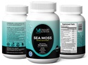 sea-moss-black-seed-ashwagandha-turmeric-2.jpg
