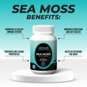 sea-moss-black-seed-ashwagandha-turmeric-4.jpg
