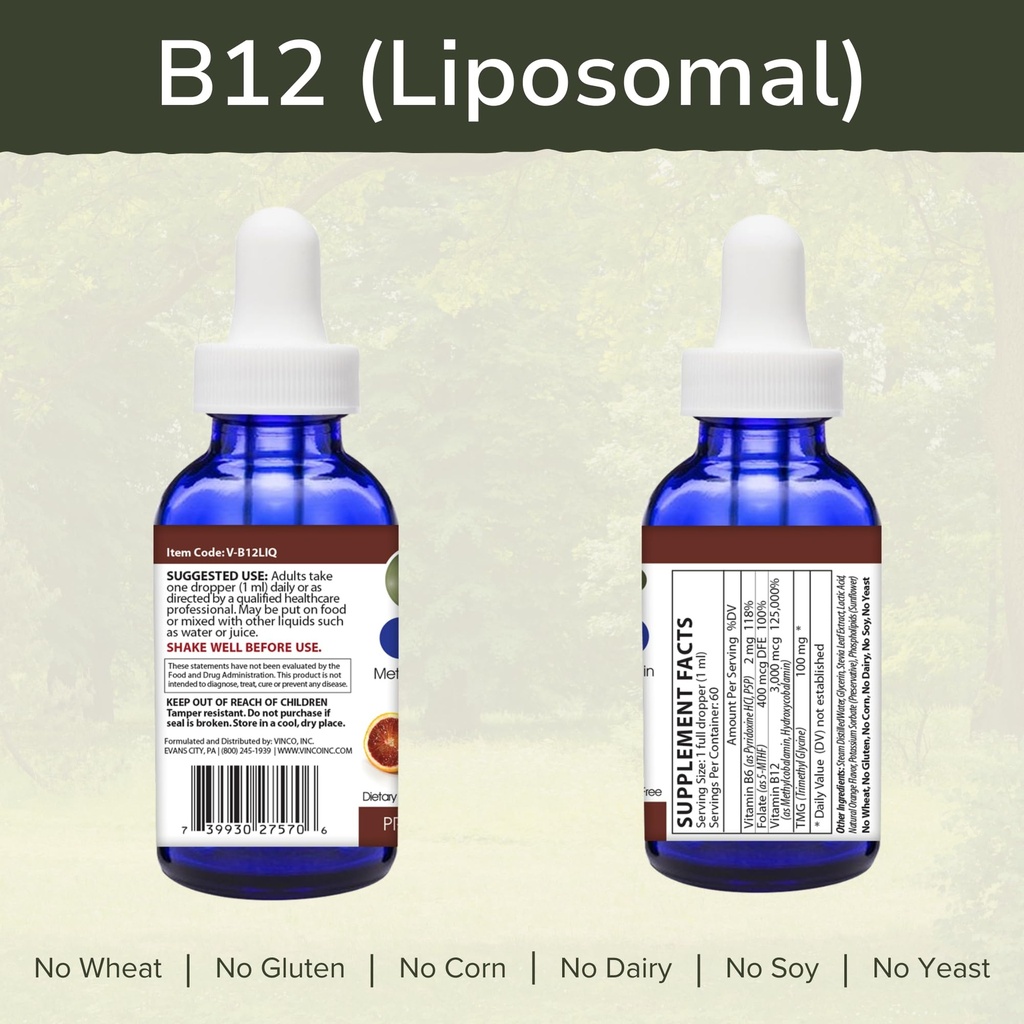 vinco-inc-liposomal-vitamin-b12-energy-s-2.jpg