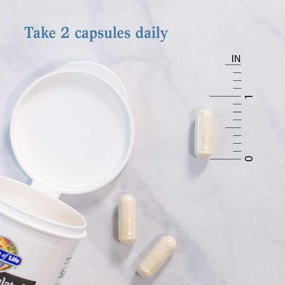 garden-of-life-dr-formulated-probiotics--6.jpg