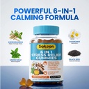 6-in-1-stress-relief-gummies-60ct-aids-r-3.jpg