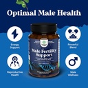 bundle-of-pre-conceive-male-reproductive-4.jpg