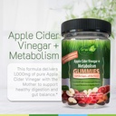 irwin-naturals-gummies-apple-cider-vineg-4.jpg