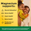 nature-made-magnesium-l-threonate-with-v-3.jpg