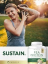 carlyle-pea-protein-isolate-powder-7lb-u-6.jpg