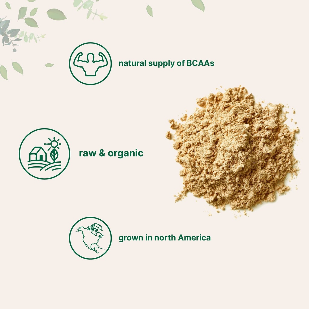 north-america-grown-organic-pea-protein--4.jpg
