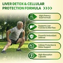 vivonu-tudca-2000mg-nac-1200mg-supplemen-2.jpg