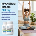 puregen-labs-magnesium-malate-500mg-high-3.jpg