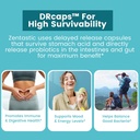 zentastic-2-pack-4-in-1-magnesium-comple-6.jpg