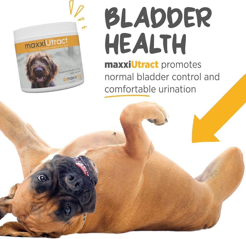maxxipaws-maxxiutract-urinary-bladder-su-5.jpg