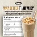 ambrosia-plant-based-protein-powder-20g--2.jpg