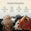 equip-foods-core-bovine-colostrum-gummie-3.jpg