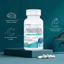 kappa-nutrition-powered-by-magbrain-magn-4.jpg