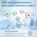 igennus-superior-triple-magnesium-comple-2.jpg