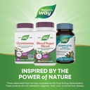 nature-s-way-blood-sugar-blend-with-gymn-6.jpg