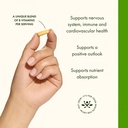 swanson-balance-b-50-high-potency-b-vita-4.jpg