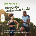 swanson-balance-b-50-high-potency-b-vita-2.jpg