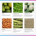 livingood-daily-vitamin-b-complex-capsul-4.jpg