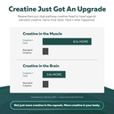creatine-reserve-creatine-monohydrate-pl-5.jpg