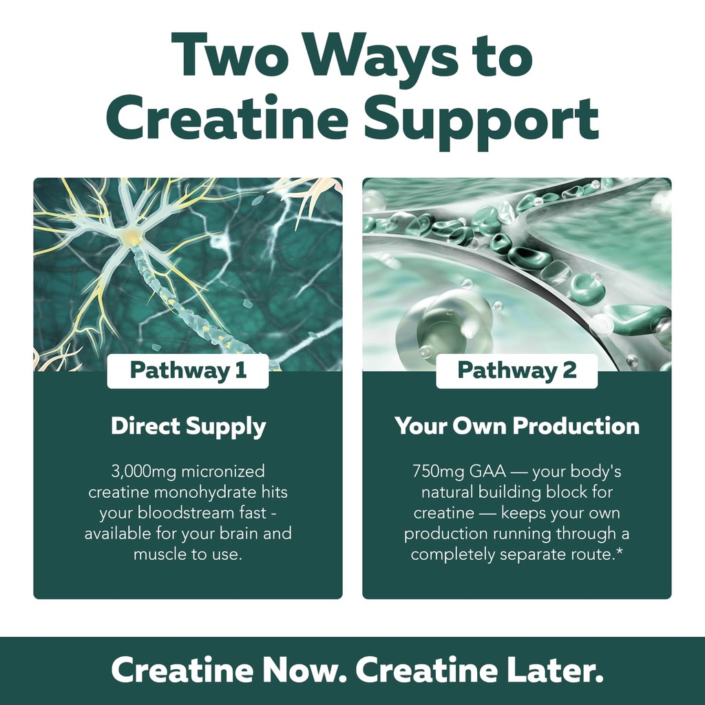 creatine-reserve-creatine-monohydrate-pl-4.jpg
