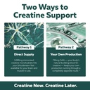 creatine-reserve-creatine-monohydrate-pl-4.jpg