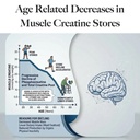 creatineiq-high-dose-creatine-powder-for-5.jpg
