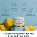 ancient-nutrition-creatine-collagen-elec-3.jpg