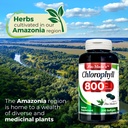 fito-medic-s-lab-chlorophyll-supplement--6.jpg