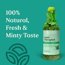 nature-s-sunshine-liquid-chlorophyll-imm-3.jpg