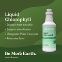 nature-s-sunshine-liquid-chlorophyll-imm-2.jpg