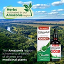 fito-medic-s-lab-liquid-chlorophyll-chlo-5.jpg