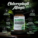 benevolent-nourishment-chlorophyll-suppl-2.jpg