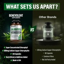 benevolent-nourishment-chlorophyll-suppl-5.jpg