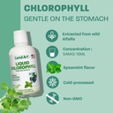land-art-liquid-chlorophyll-mint-cold-ex-4.jpg