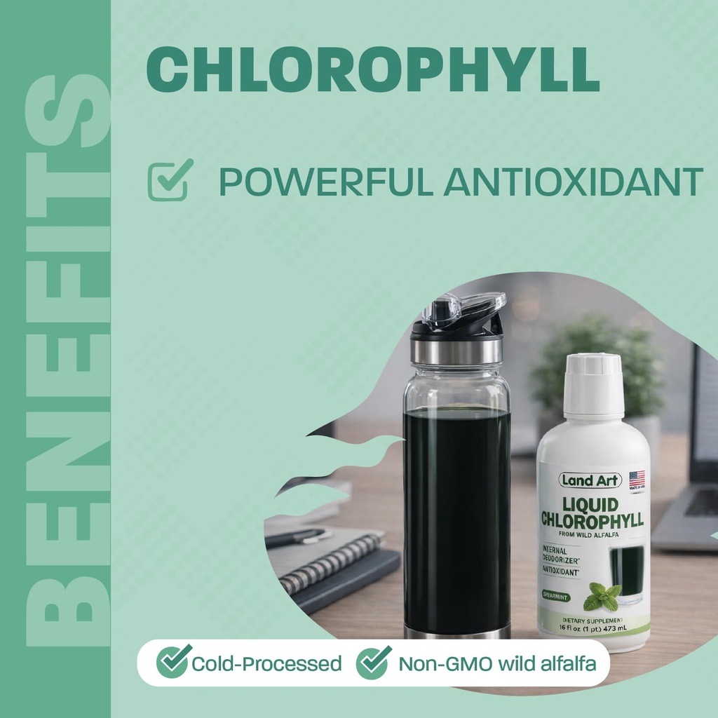 land-art-liquid-chlorophyll-mint-cold-ex-3.jpg