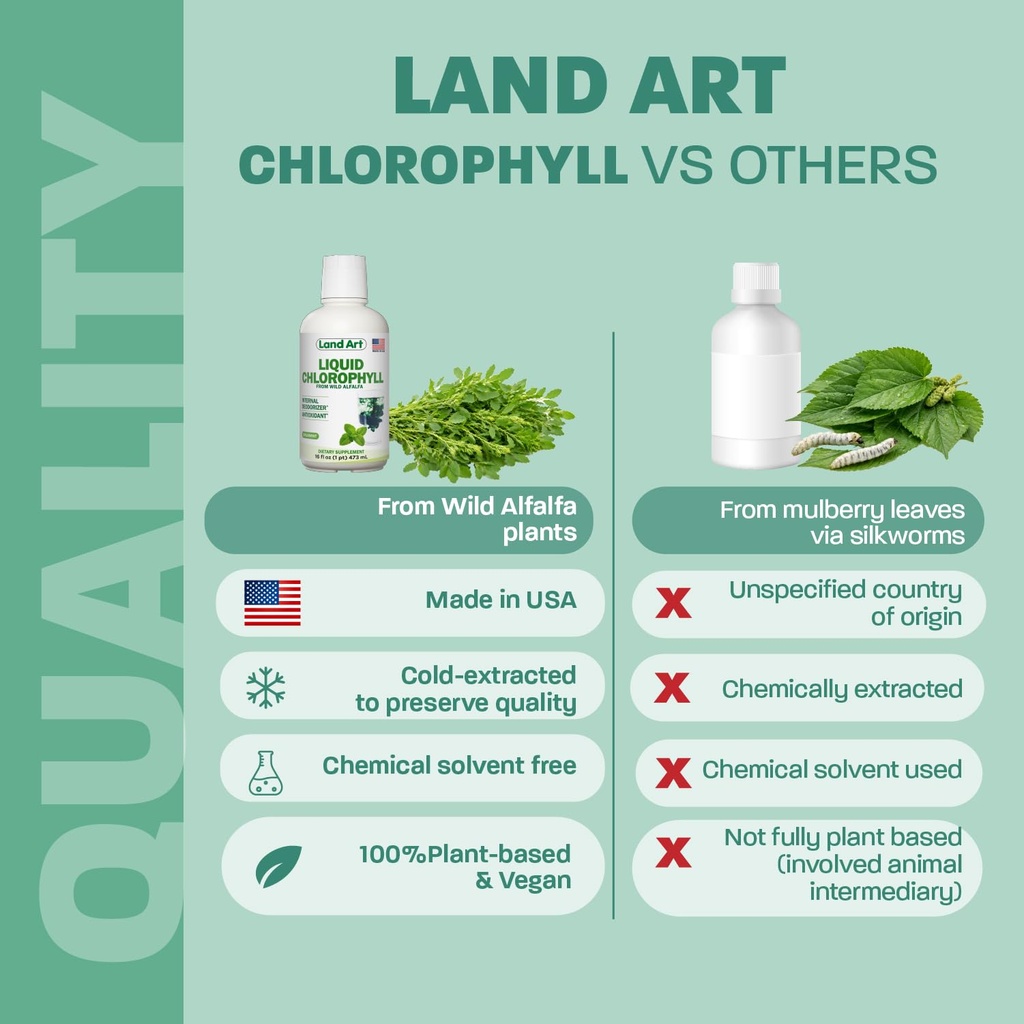 land-art-liquid-chlorophyll-mint-cold-ex-6.jpg