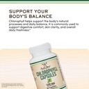 chlorophyll-capsules-for-digestion-gut-h-4.jpg