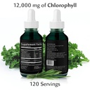 chlorophyll-water-drops-liquid-chlorophy-2.jpg